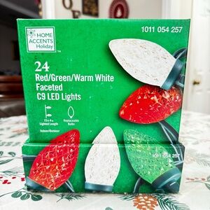 Home Accents Holiday 24ct Red/Green/Warm White Faceted C9 LED Christmas Lights